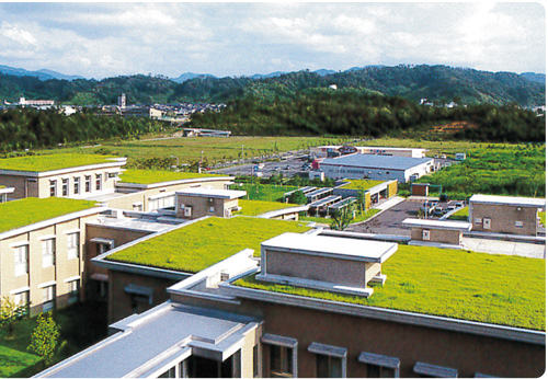 屋上緑化工法 イメージ